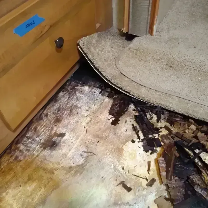 Wood Floor Water Damage in Algonquin, MD